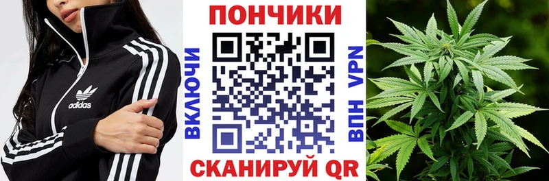 Бошки Шишки AK-47  наркотики  Сольвычегодск 
